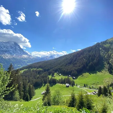 赫沙夫特木屋酒店 公寓 格林德瓦