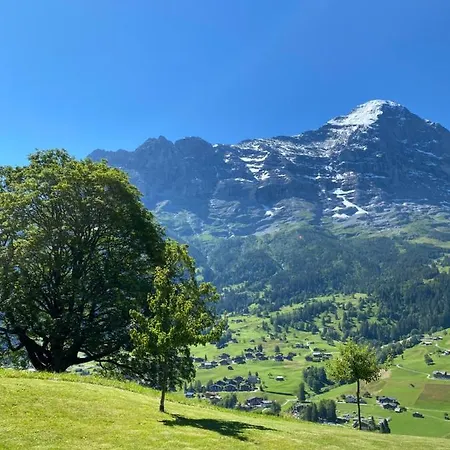 赫沙夫特木屋酒店 *