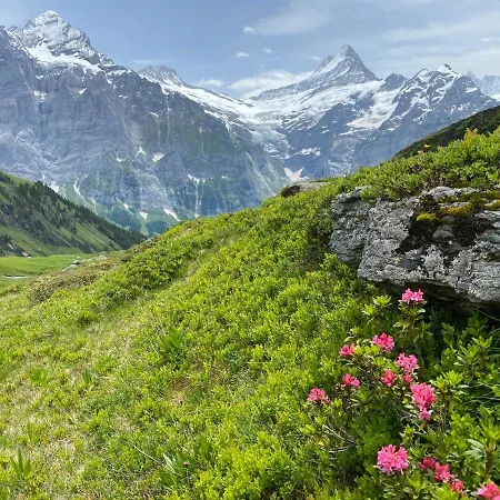 赫沙夫特木屋酒店 *