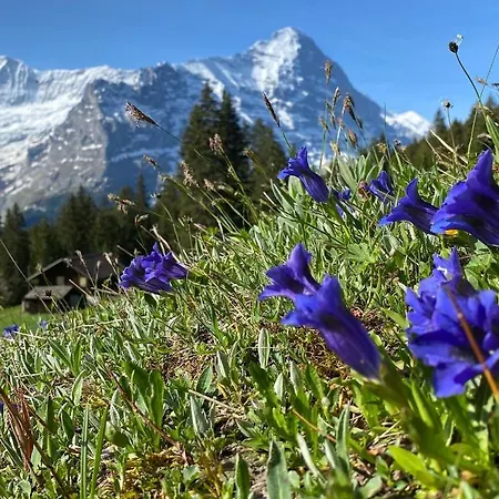 Herrschaft Apartment *