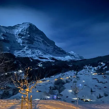 赫沙夫特木屋酒店 格林德瓦