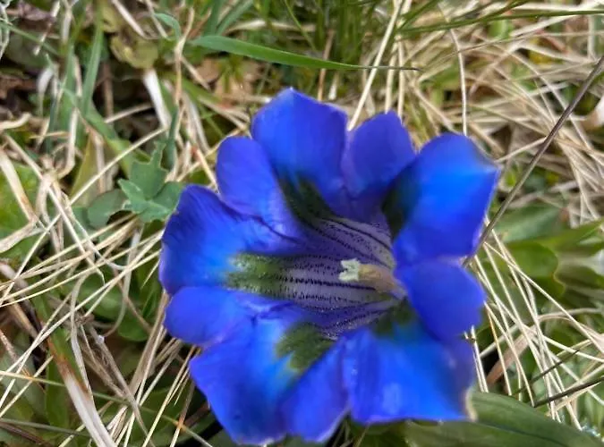 赫沙夫特木屋酒店 公寓