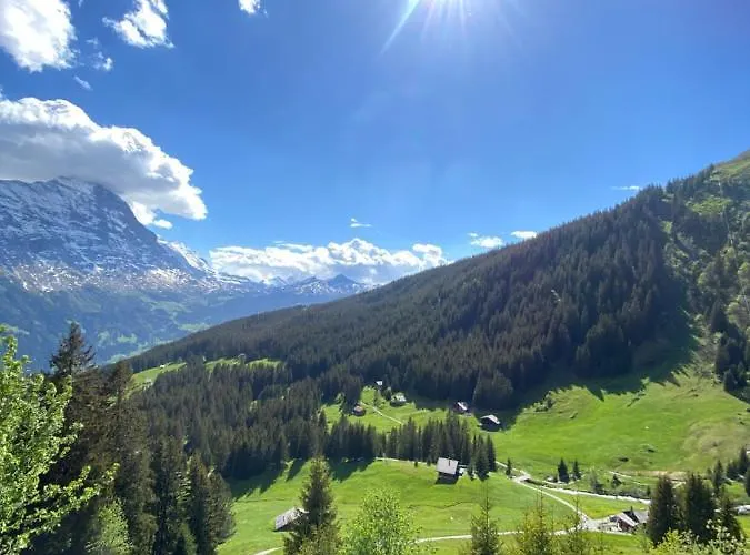 Herrschaft Appartement Grindelwald