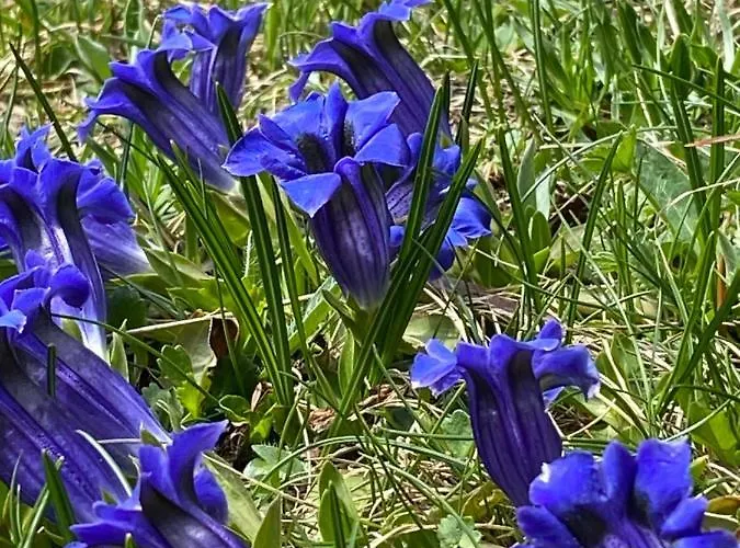 赫沙夫特木屋酒店