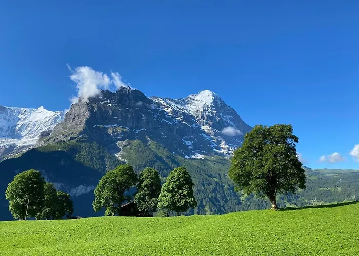 赫沙夫特木屋酒店 公寓