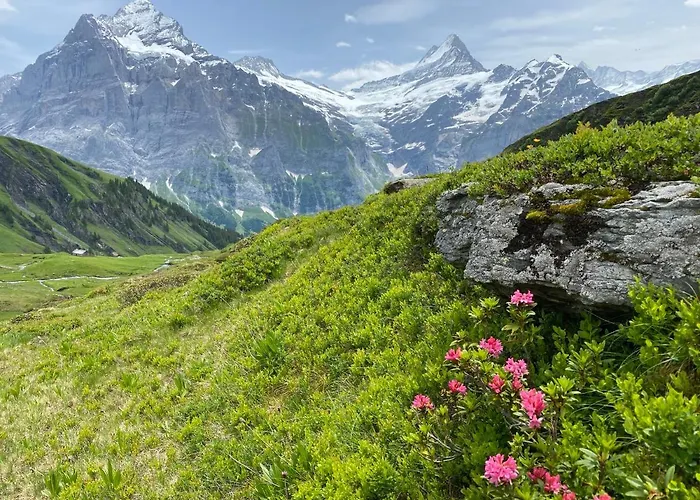 赫沙夫特木屋酒店 *