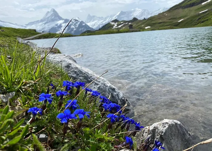 公寓 赫沙夫特木屋酒店